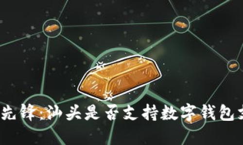 潮流先锋：汕头是否支持数字钱包支付？