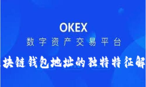 区块链钱包地址的独特特征解析