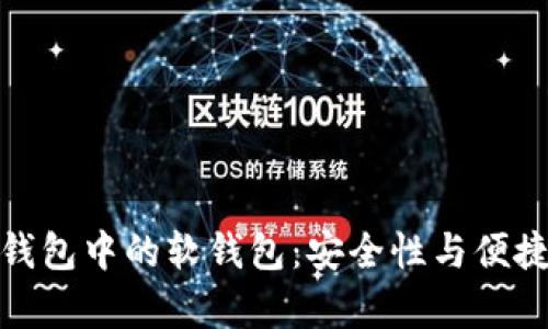 全面解析数字钱包中的软钱包：安全性与便捷性的完美结合