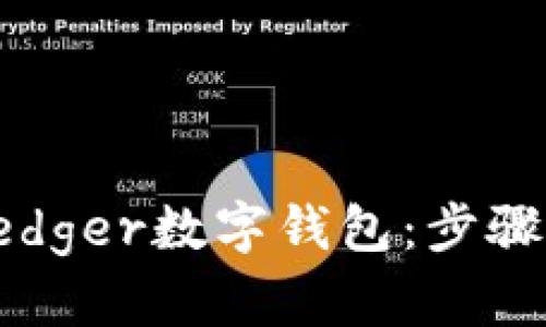如何轻松设置Ledger数字钱包：步骤详解与实用提示