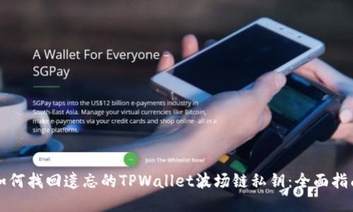 如何找回遗忘的TPWallet波场链私钥：全面指南