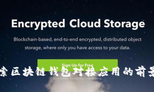 深入探索区块链钱包对接应用的前景与挑战
