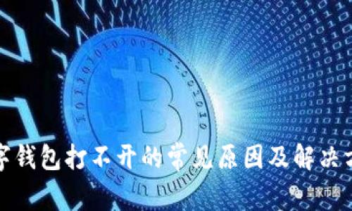 数字钱包打不开的常见原因及解决方案