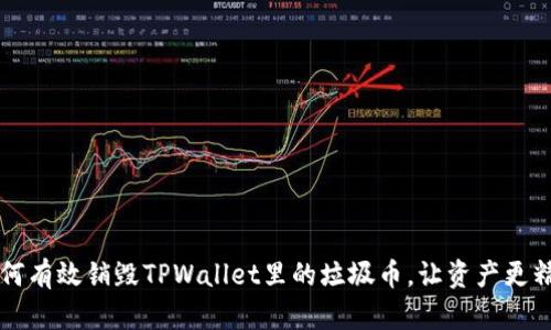 如何有效销毁TPWallet里的垃圾币，让资产更精简