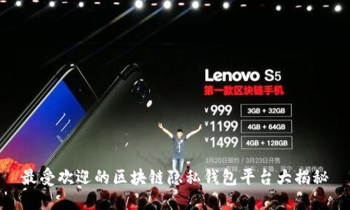 最受欢迎的区块链隐私钱包平台大揭秘