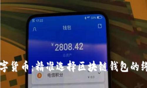 掌握数字货币：精准选择区块链钱包的终极指南