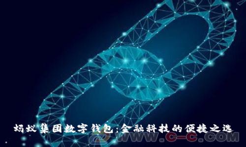 蚂蚁集团数字钱包：金融科技的便捷之选