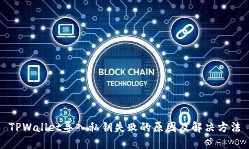 TPWallet导入私钥失败的原因及解决方法