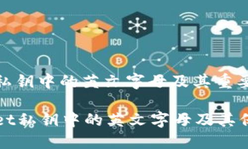 : 了解TPWallet私钥中的英文字母及其重要性

深入探讨TPWallet私钥中的英文字母及其保护投资的必要性