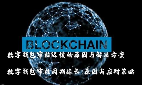 数字钱包审核迟缓的原因与解决方案

数字钱包审核周期延长：原因与应对策略