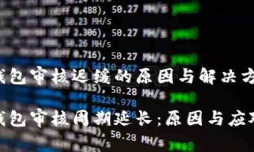 数字钱包审核迟缓的原因与解决方案

数字钱包审核周期延长：原因与应对策略