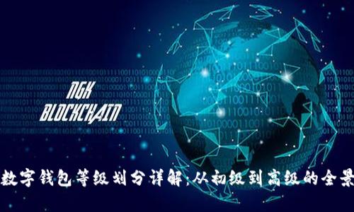 对公数字钱包等级划分详解：从初级到高级的全景解析