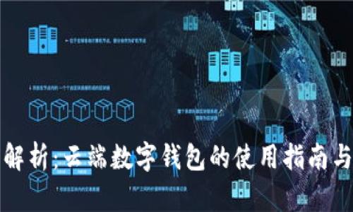 全面解析：云端数字钱包的使用指南与技巧