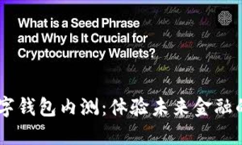 建行DCEP数字钱包内测：体验未来金融的便捷与安全