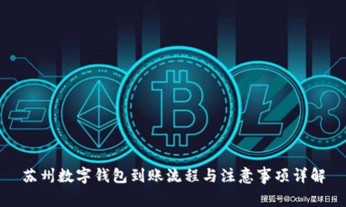苏州数字钱包到账流程与注意事项详解