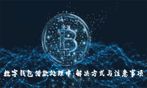 数字钱包借款处理中：解决方式与注意事项