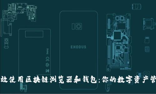 如何高效使用区块链浏览器和钱包：你的数字资产管理助手