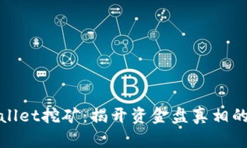 TPWallet挖矿：揭开资金盘真相的面纱