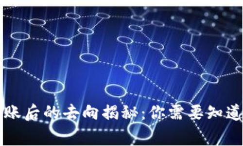 TPWallet转账后的去向揭秘：你需要知道的每一件事