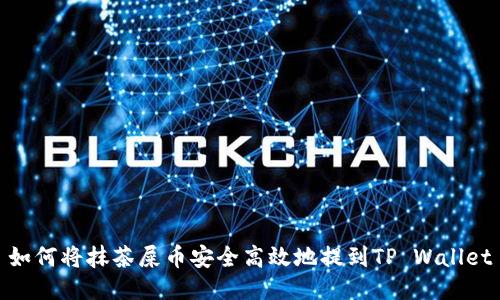 如何将抹茶屎币安全高效地提到TP Wallet