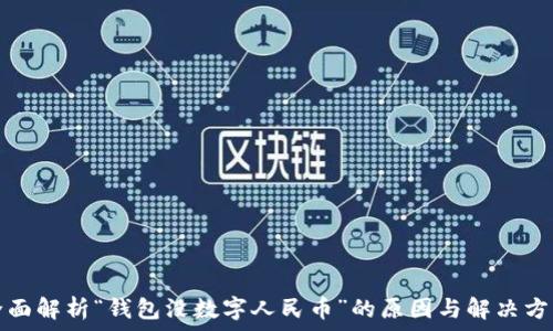 全面解析“钱包没数字人民币”的原因与解决方案