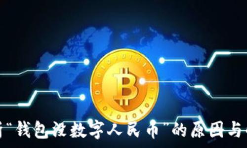 全面解析“钱包没数字人民币”的原因与解决方案