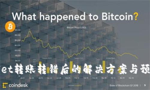 TPWallet转账转错后的解决方案与预防技巧