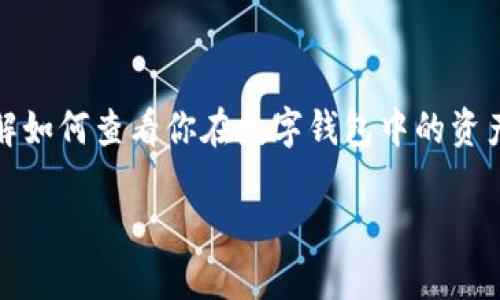 数字钱包的资产信息如何查看

在数字化时代，数字钱包成为了很多人管理和存储资产的重要工具。无论是用于日常购物的支付方式，还是进行投资和交易的工具，了解如何查看你在数字钱包中的资产信息都是必不可少的。本文将详细介绍数字钱包资产信息的查看方法、相关工具使用以及注意事项，让你在数字资产管理中游刃有余。

如何轻松查看你的数字钱包资产信息