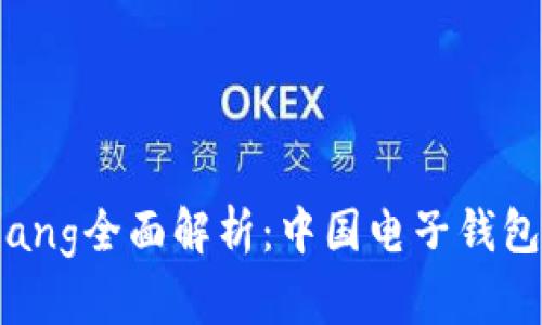xiaozhang/xiaozhang全面解析：中国电子钱包与数字货币的崛起