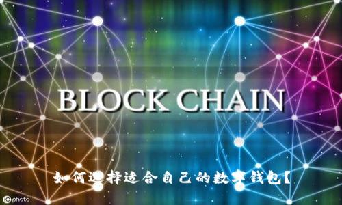 如何选择适合自己的数字钱包？