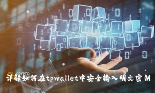 详解如何在tpwallet中安全输入明文密钥