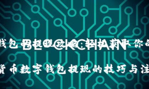 货币数字钱包的提现攻略：轻松获取你的数字资产

轻松玩转货币数字钱包提现的技巧与注意事项