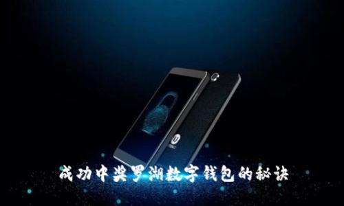 成功中奖罗湖数字钱包的秘诀