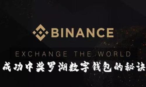 成功中奖罗湖数字钱包的秘诀