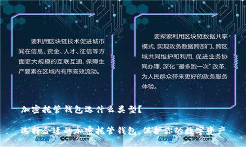 加密托管钱包选什么类型？

选择合适的加密托管钱包，保护你的数字资产