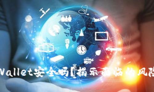 下载国外TPWallet安全吗？揭示面临的风险与安全措施