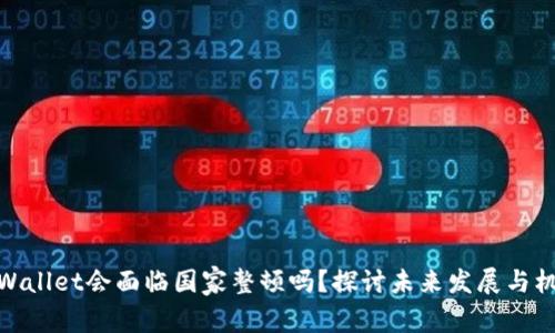 TPWallet会面临国家整顿吗？探讨未来发展与机遇