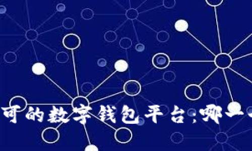 国内备受认可的数字钱包平台：哪一个最适合你？