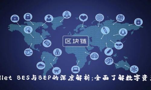 TPWallet BES与BEP的深度解析：全面了解数字资产管理