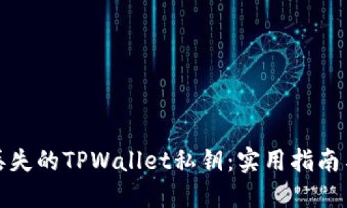 如何找回丢失的TPWallet私钥：实用指南与解决方案