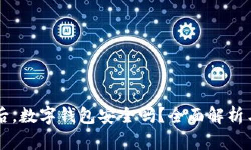 手机丢失后，数字钱包安全吗？全面解析与应对策略