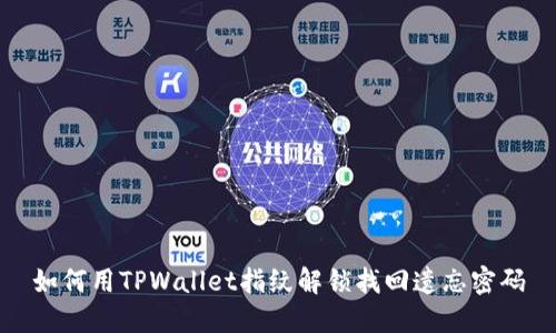 如何用TPWallet指纹解锁找回遗忘密码