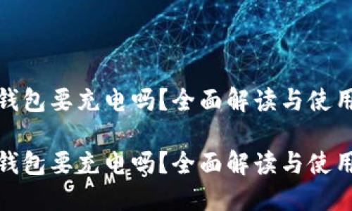 数字钱包要充电吗？全面解读与使用技巧

数字钱包要充电吗？全面解读与使用技巧