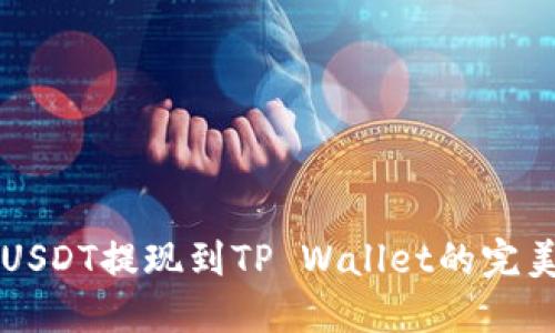 详解USDT提现到TP Wallet的完美指南