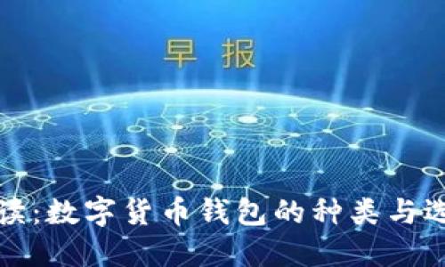 全面解读：数字货币钱包的种类与选择指南