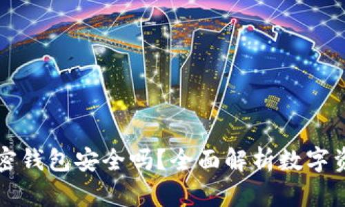 国外的加密钱包安全吗？全面解析数字资产安全性