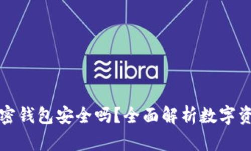 国外的加密钱包安全吗？全面解析数字资产安全性