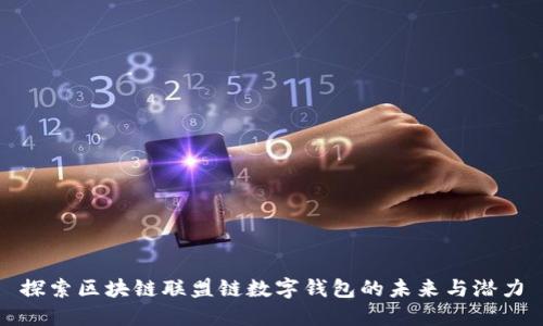 探索区块链联盟链数字钱包的未来与潜力