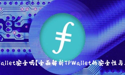 TPWallet安全吗？全面解析TPWallet的安全性与风险