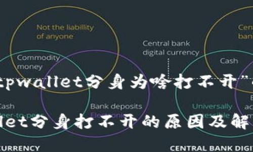 关于“tpwallet分身为啥打不开”的

tpwallet分身打不开的原因及解决方法